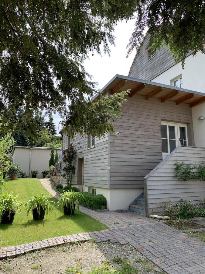 Idyllische Fewo Belling Spa - Eigene Sauna Und E-Ladesaeule Dresden Eksteriør billede